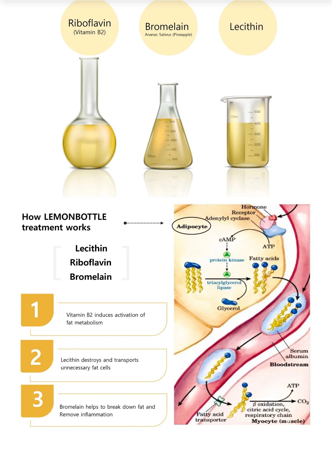 Fat burner Lemon bottle “5”
