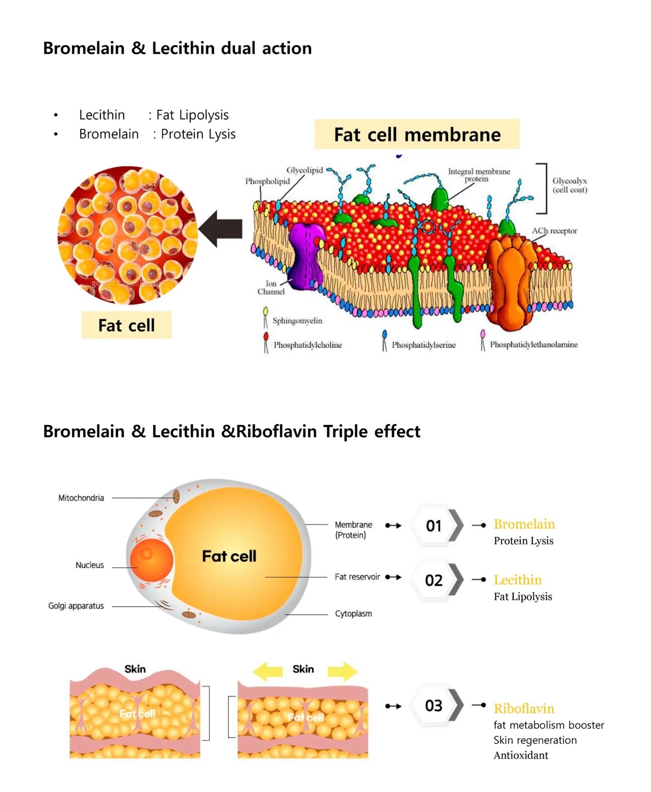 Fat burner Lemon bottle “5”